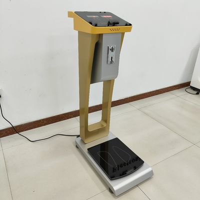 Ζυγίσματα αποσκευών χωρητικότητας 300kg με προσαρμοσμένη υποστήριξη ODM