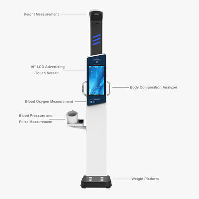 Αναλυτής σώματος με οθόνη αφής LCD 19&quot; για ολοκληρωμένη ανάλυση βάρους και ύψους ενηλίκων
